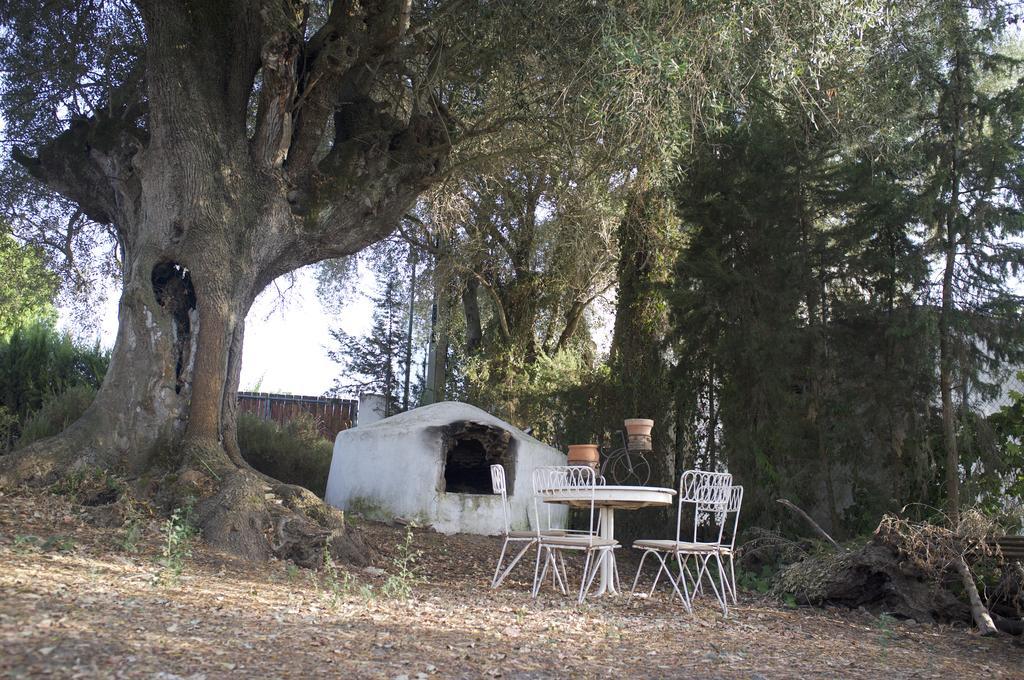 Villas De La Ermita Vejer de la Frontera Esterno foto